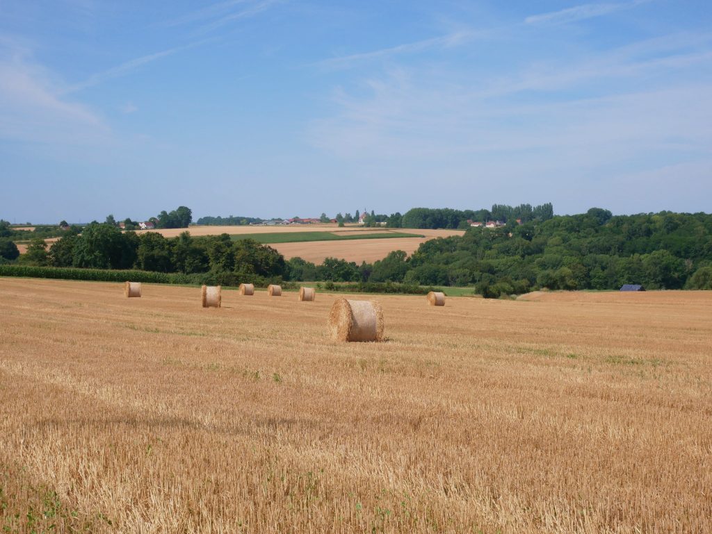 Champ avec des bottes de foin, des bois et des bâtiments au loin