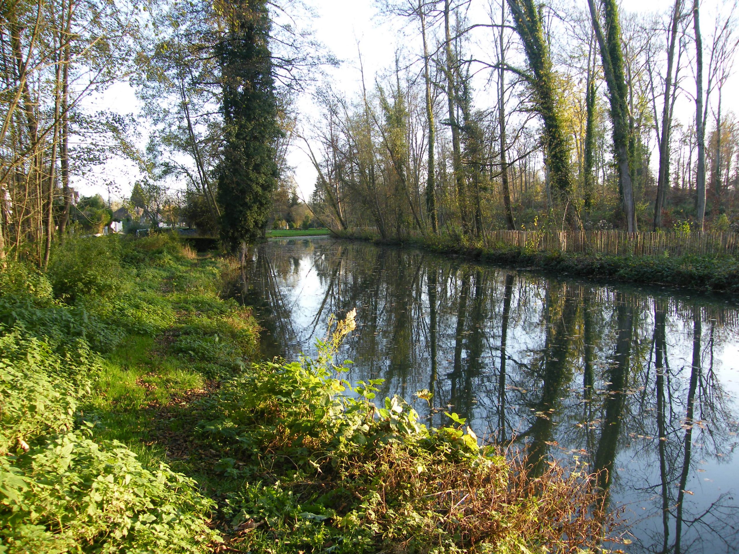 Photo de la rivière du Grand Morin qui traverse un bois